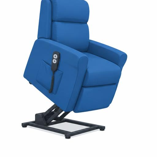 Lift Chairs / Seat Lift Mechanisms (E0627)